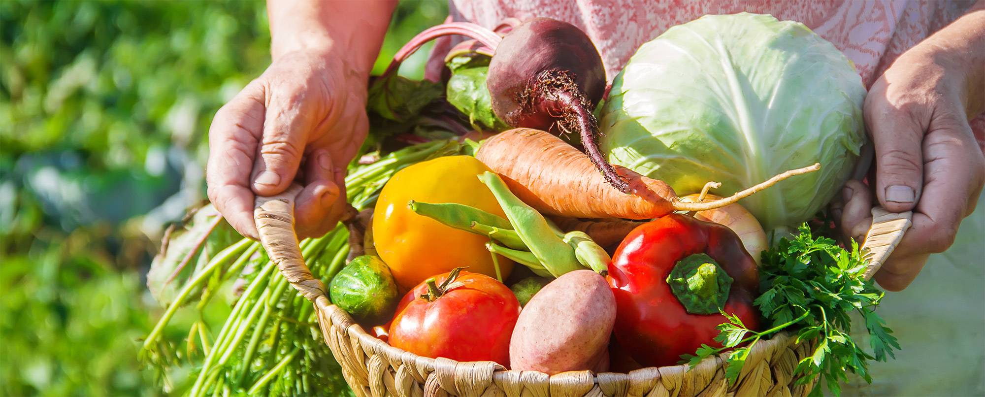 Venez composer vos paniers bio de légumes et de fruits frais et de saison Chez Saveur Nature